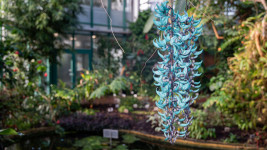 botanka Tropy lk